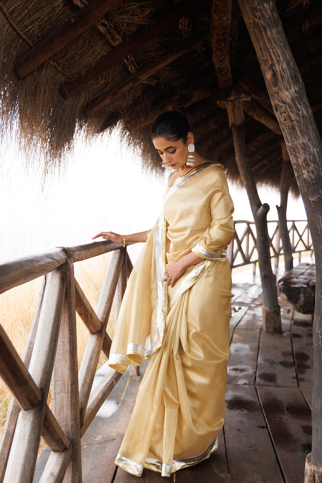 Beige Tissue Saree With Multi Gota Lace
