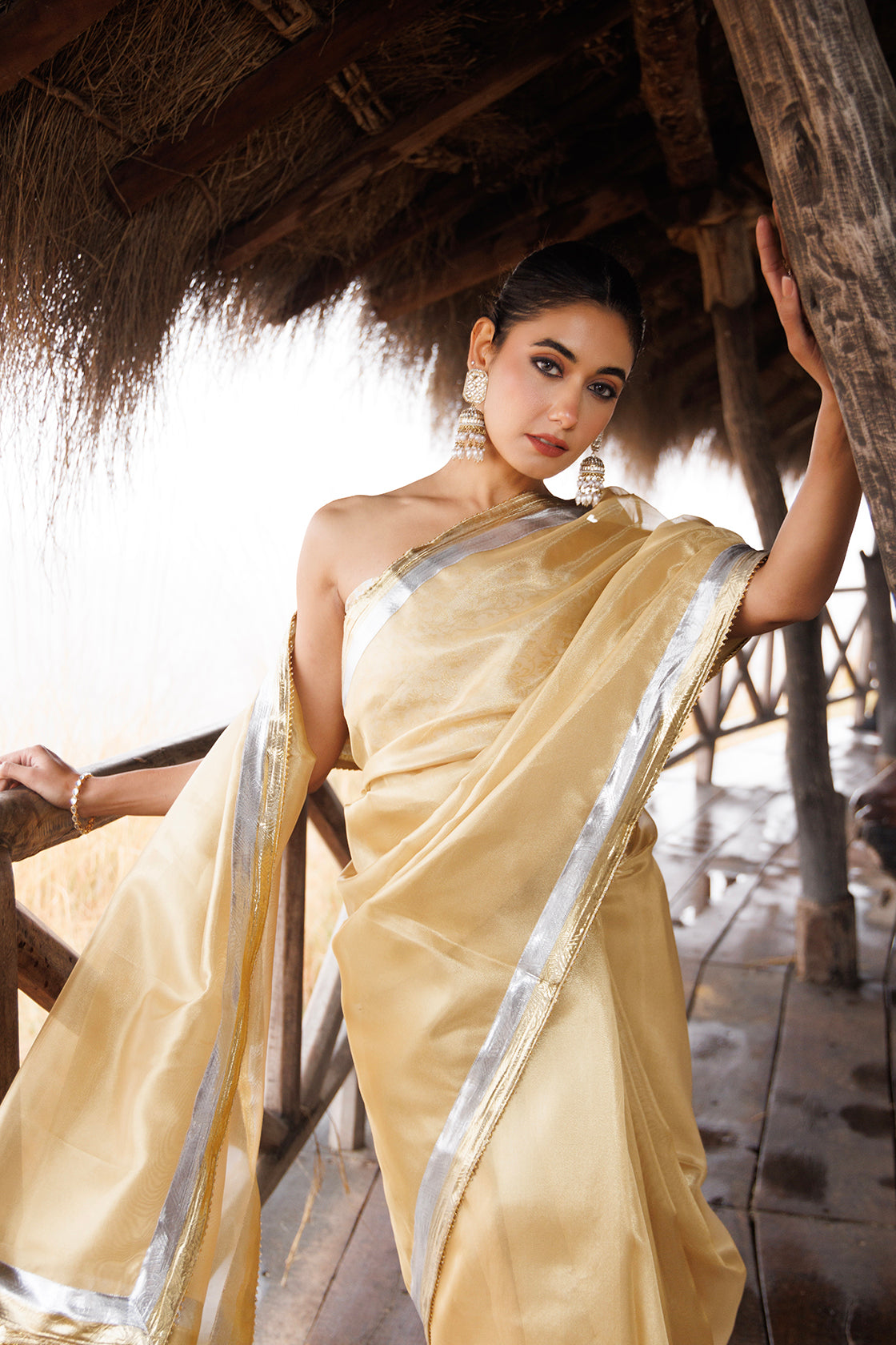 Beige Tissue Saree With Multi Gota Lace
