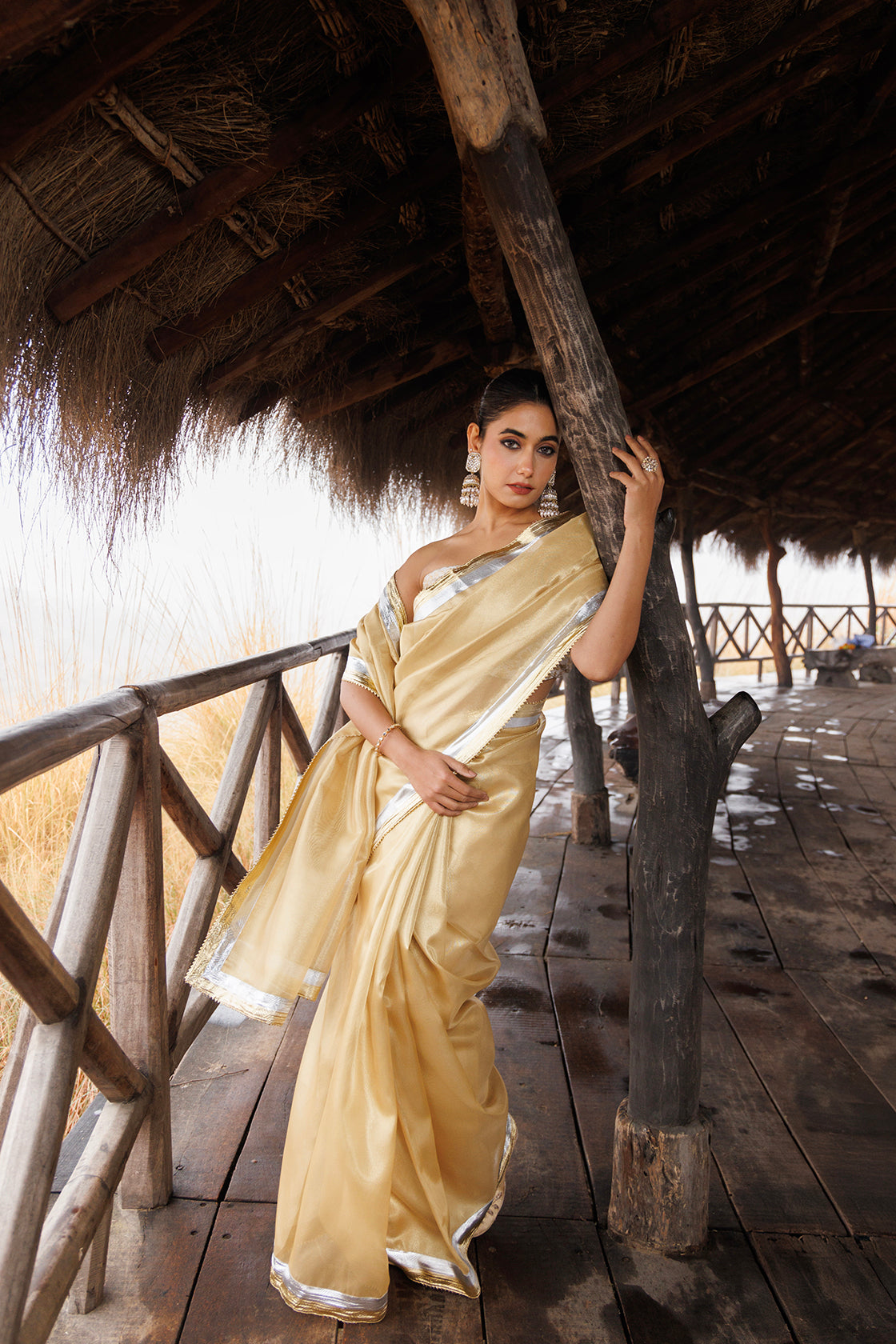 Beige Tissue Saree With Multi Gota Lace
