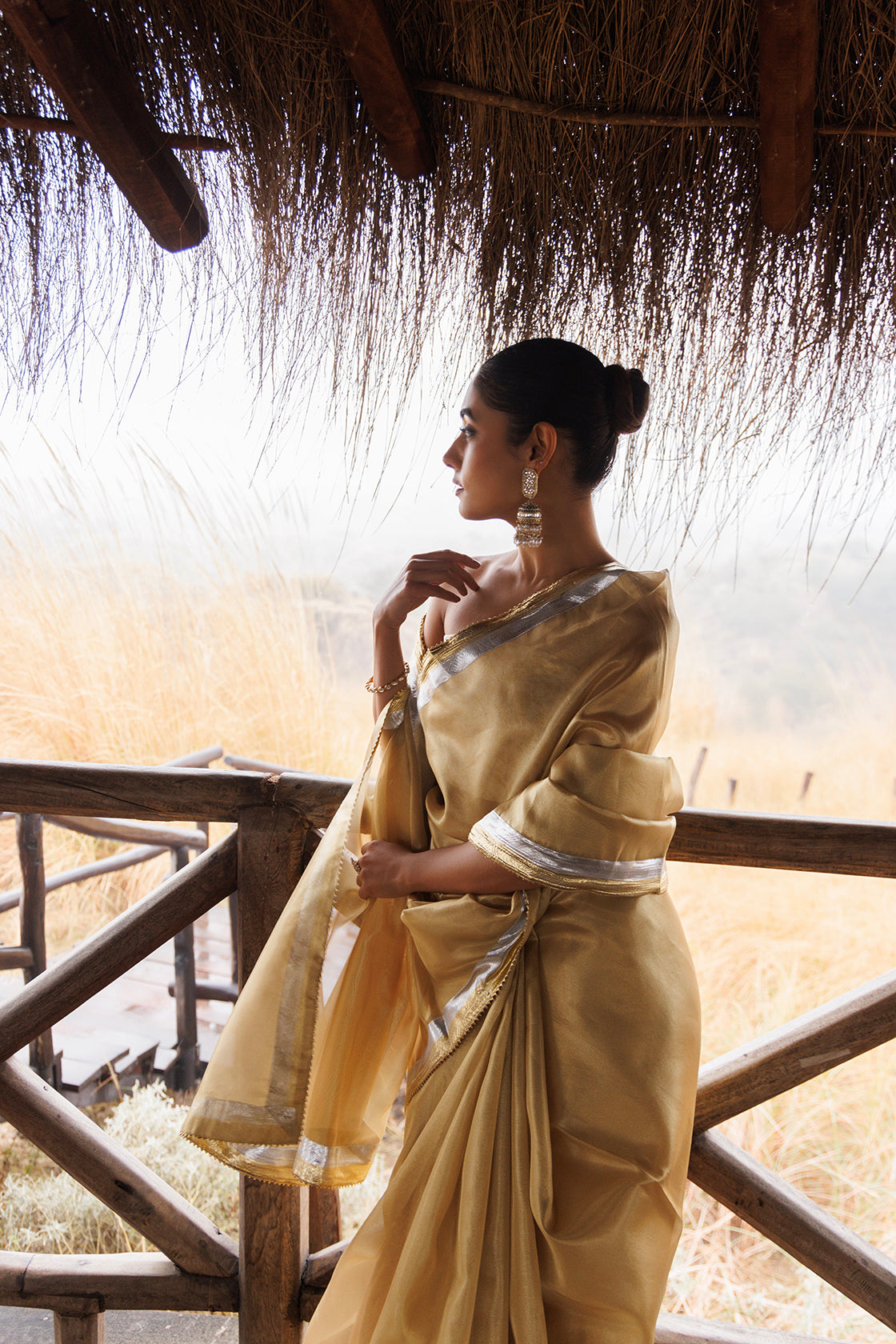 Beige Tissue Saree With Multi Gota Lace
