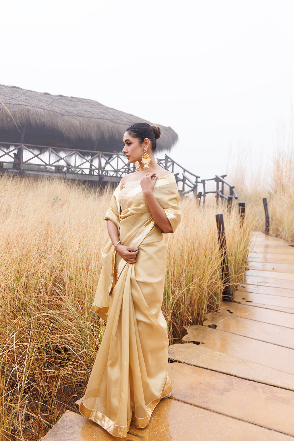 Beige Tissue Saree With Golden Gota Lace