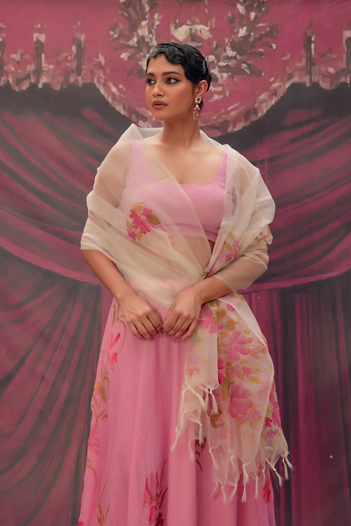 Ethereal Pink Hand-Painted Chiffon Lehenga Set
