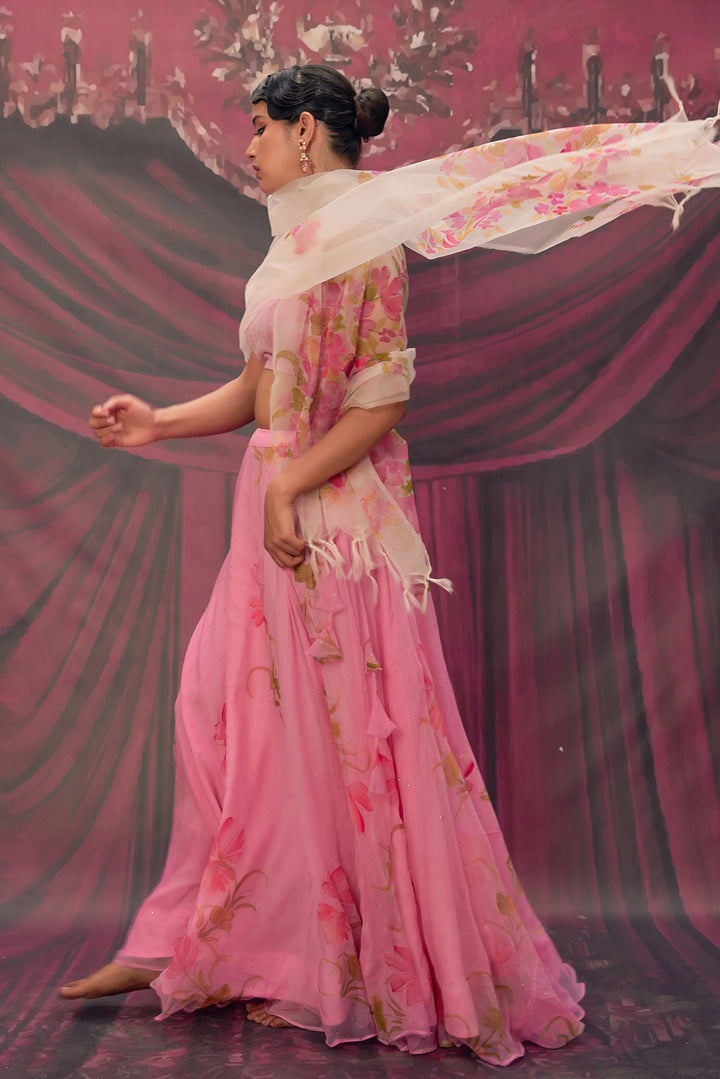 Ethereal Pink Hand-Painted Chiffon Lehenga Set