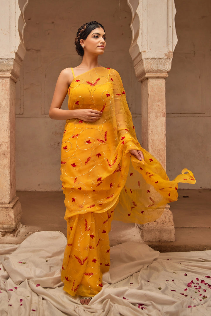 Yellow Hand Embroidered  Chiffon Saree Set with Red Embroidered Cape