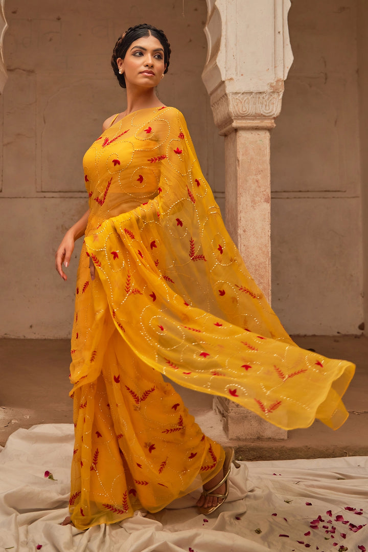 Yellow Hand Embroidered  Chiffon Saree Set with Red Embroidered Cape