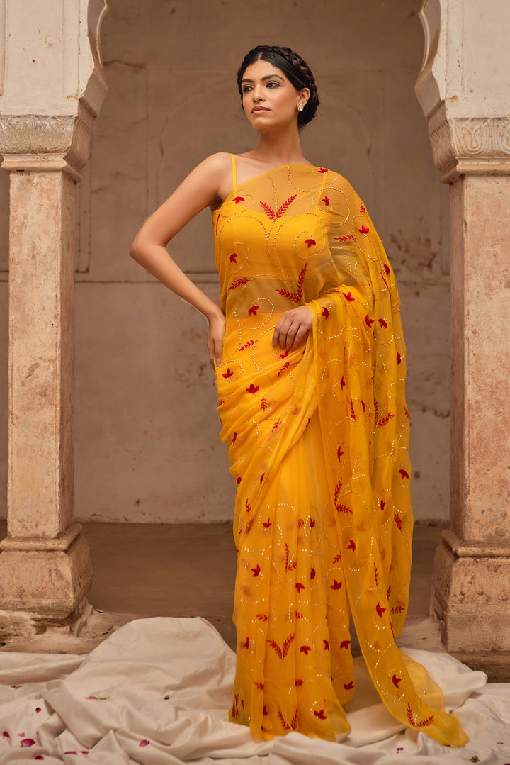 Yellow Hand Embroidered  Chiffon Saree Set with Red Embroidered Cape