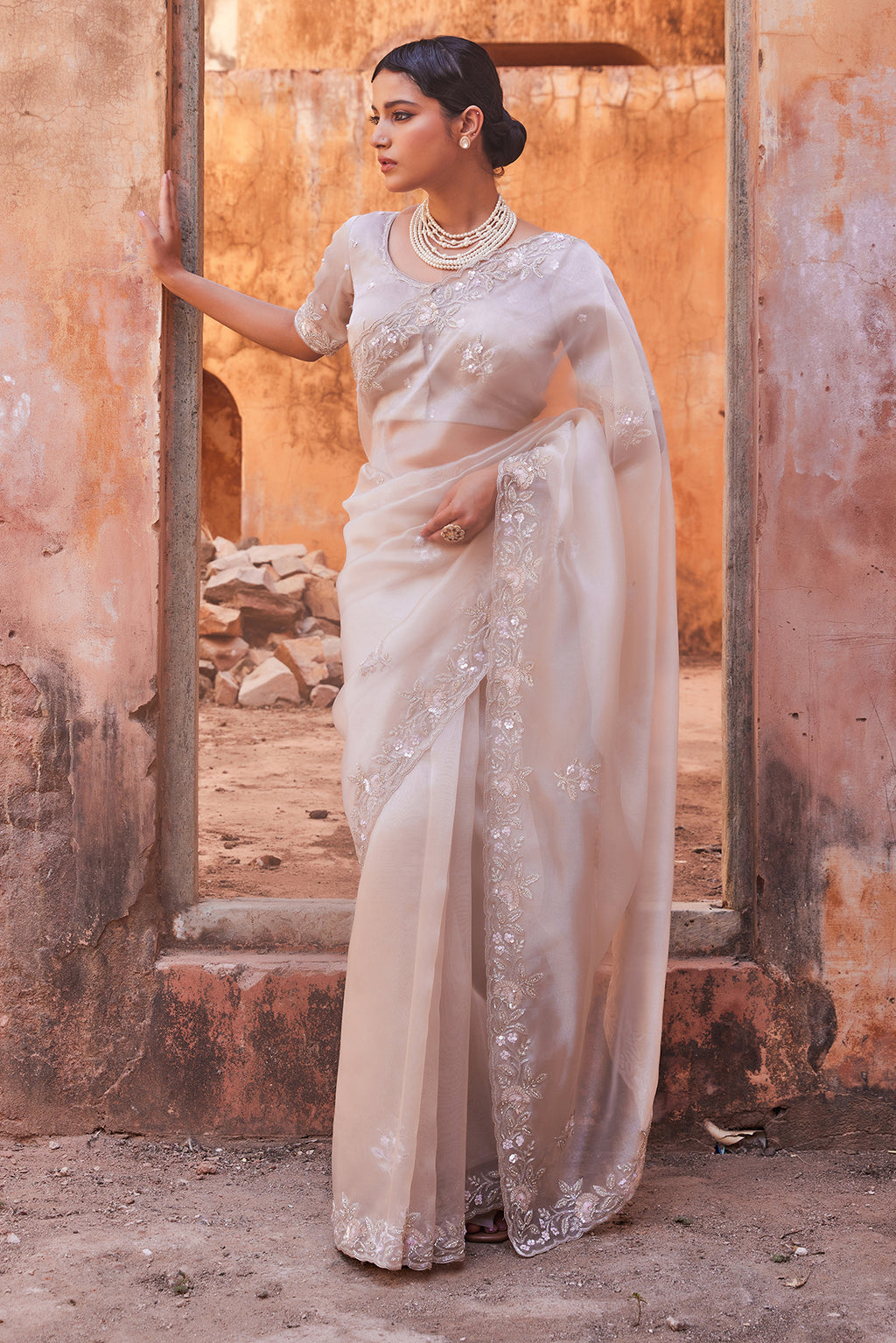 Sheer Dusty Silver Hand Embroidered Pure Tissue Saree