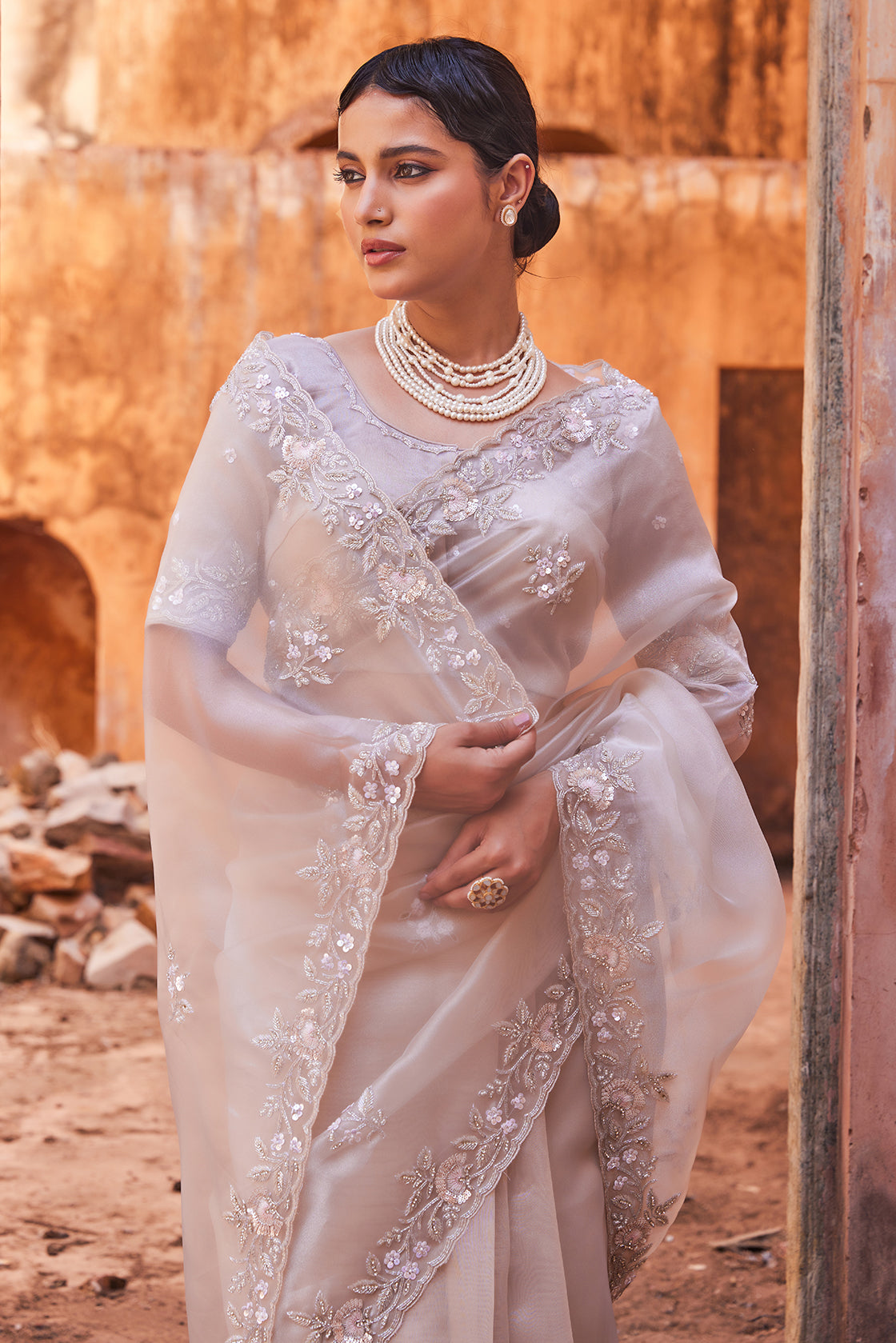 Sheer Dusty Silver Hand Embroidered Pure Tissue Saree