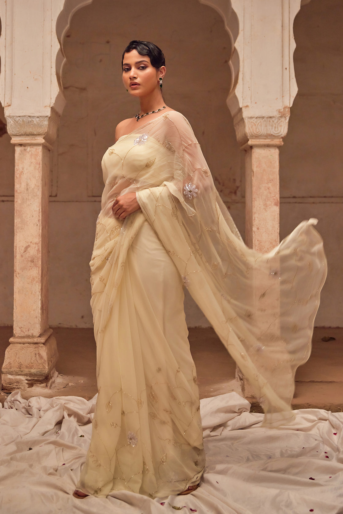 Off White Hand Embroidered  Chiffon Saree Set With Black Silk Cape