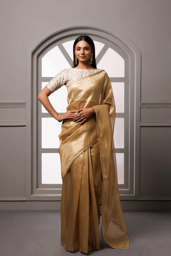 Beige Banarasi Tissue Handcrafted Gota Patti Saree - Geroo Jaipur