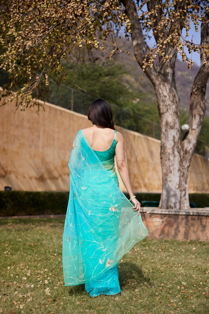 Green-Blue Shaded Hand Embroidered Jaal Chiffon Saree - Geroo Jaipur