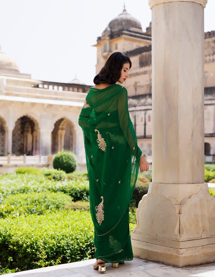 Green Hand embroidered Aari-tube Chiffon saree - Geroo Jaipur