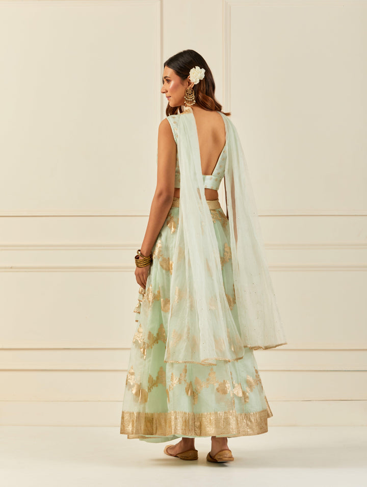 Light Green Organza Banarasi Lehenga Set With Mukaish Dupatta - Geroo Jaipur