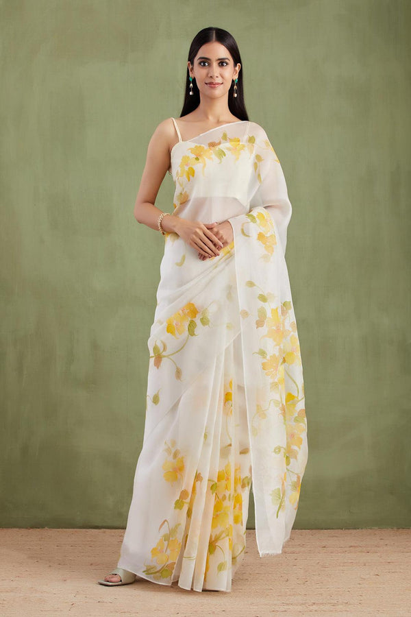 Off-White Hand Painted Organza Saree - Geroo Jaipur