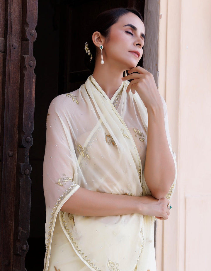 Pale Yellow Hand Embroidered Resham-Tube Chiffon Saree - Geroo Jaipur