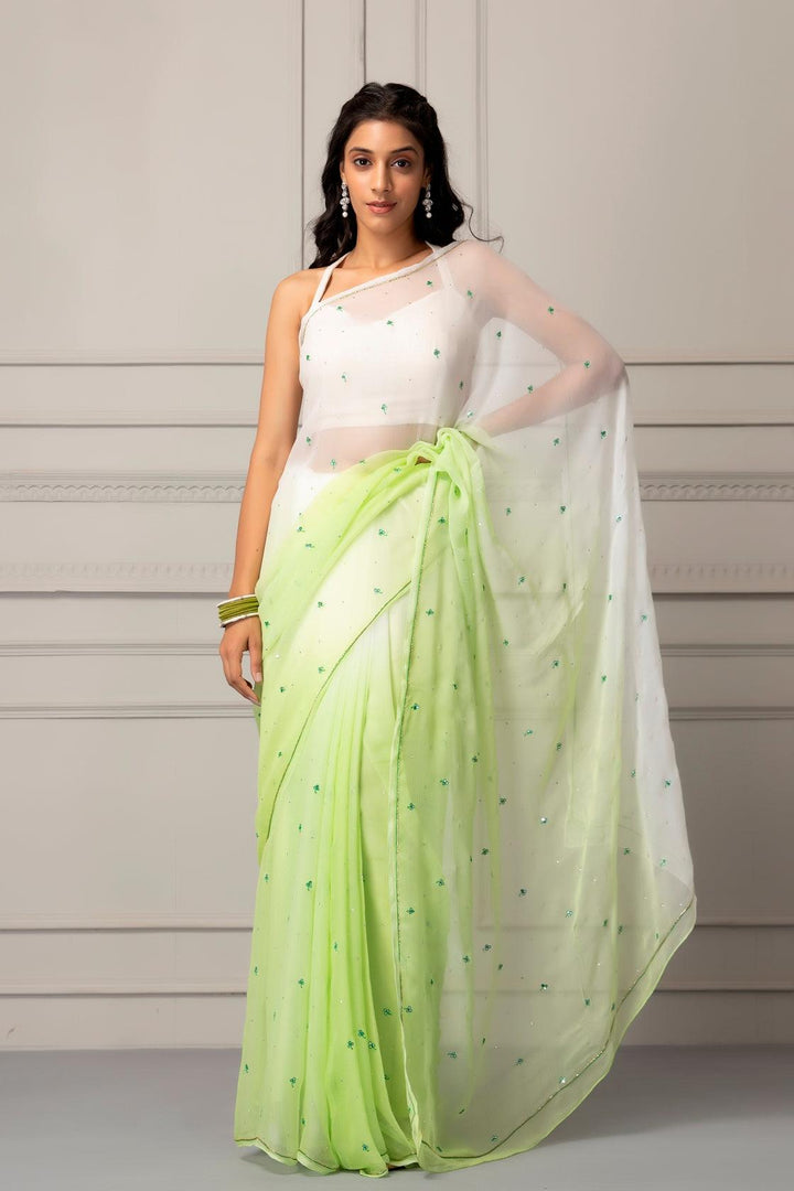 Pastel Green Shaded Hand-embroidered Chiffon Saree - Geroo Jaipur