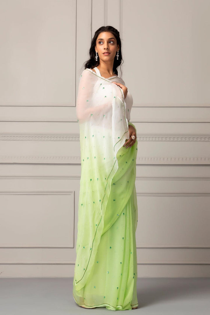 Pastel Green Shaded Hand-embroidered Chiffon Saree - Geroo Jaipur