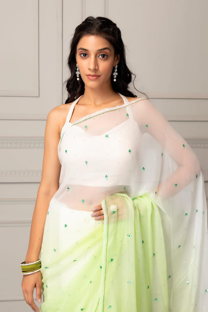 Pastel Green Shaded Hand-embroidered Chiffon Saree - Geroo Jaipur