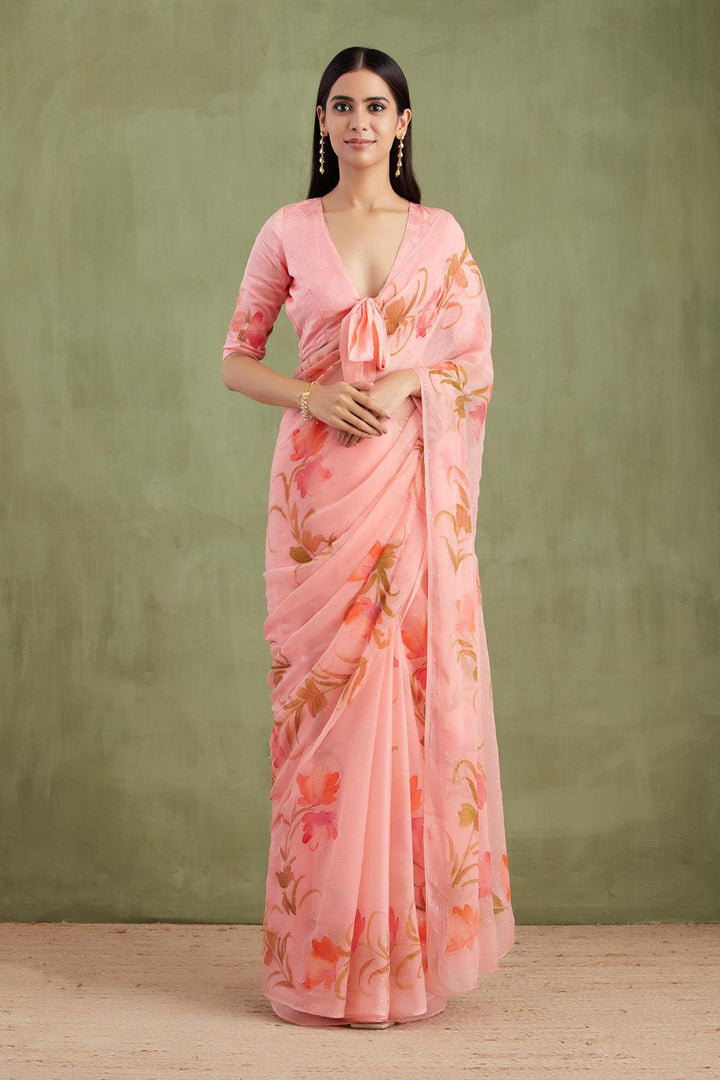 Peach Hand Painted Mukaish Chiffon Saree - Geroo Jaipur