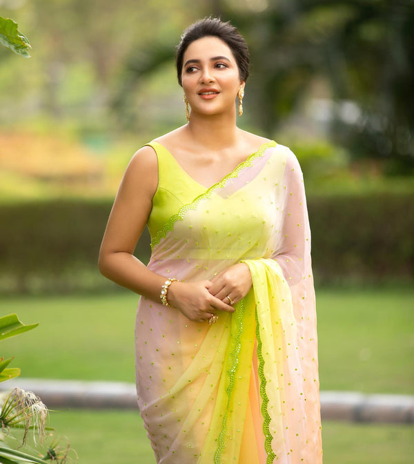 Subhashree Ganguly in Multicolor Hand Embroidered Mirror Work Chiffon Saree