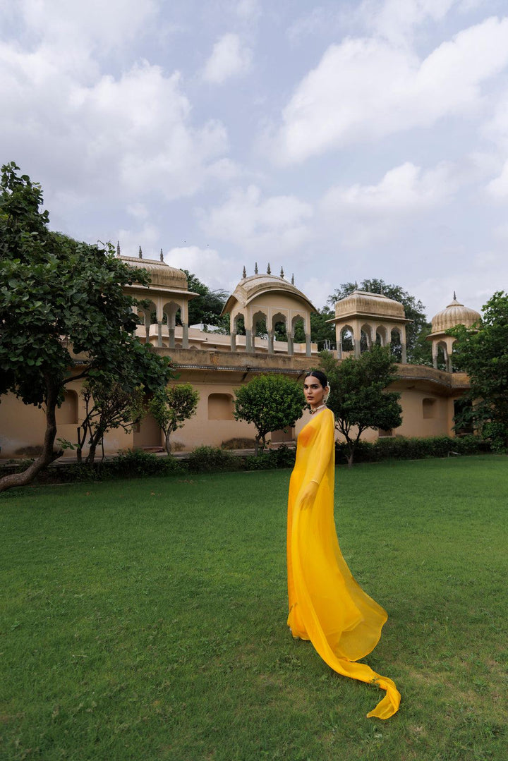 Yellow Hand Dyed Plain Chiffon Saree With Jacquard Blouse - Geroo Jaipur