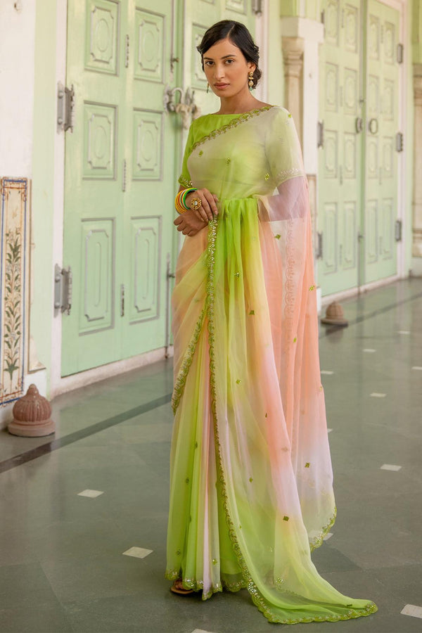 Multicolor Hand Embroidered Mirror Work Chiffon Saree - Geroo Jaipur