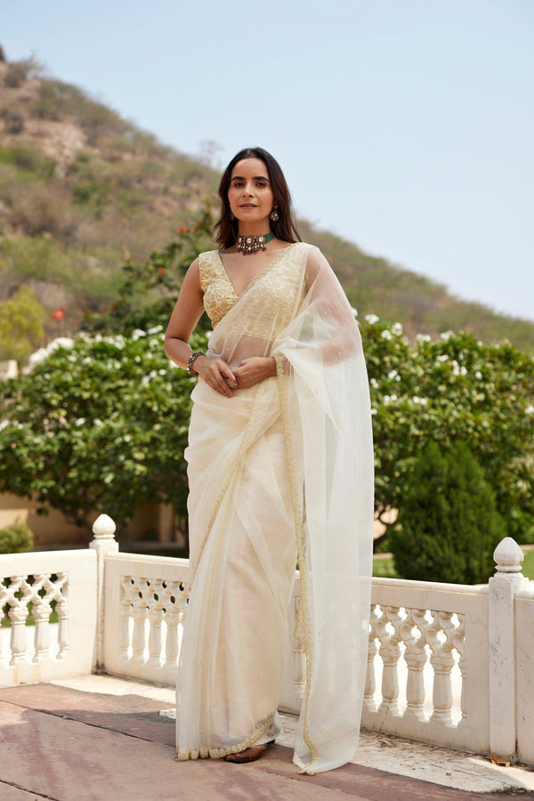 Pastel cream organza hand embroidered saree - Geroo Jaipur